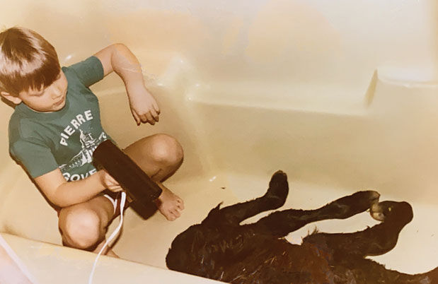 Roberts-drying-calf.jpg